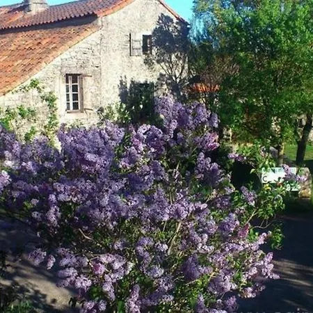 Holiday home Maison Larzac Cevennes Grand Campestre-et-Luc