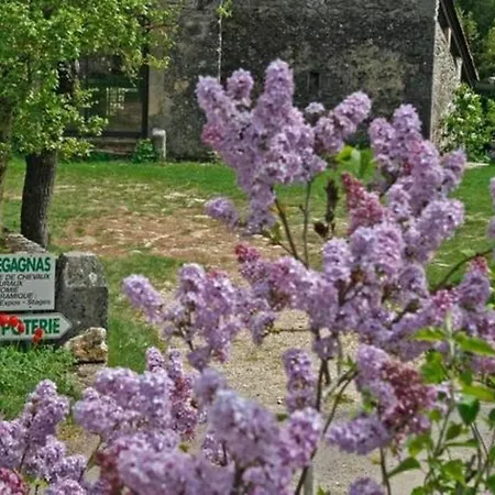 Maison Larzac Cevennes Grand 別荘 Campestre-et-Luc