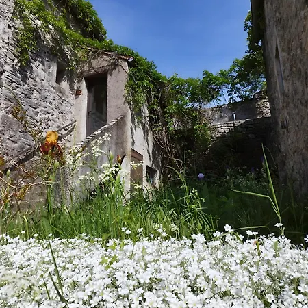 Maison Larzac Cevennes Grand 別荘 *