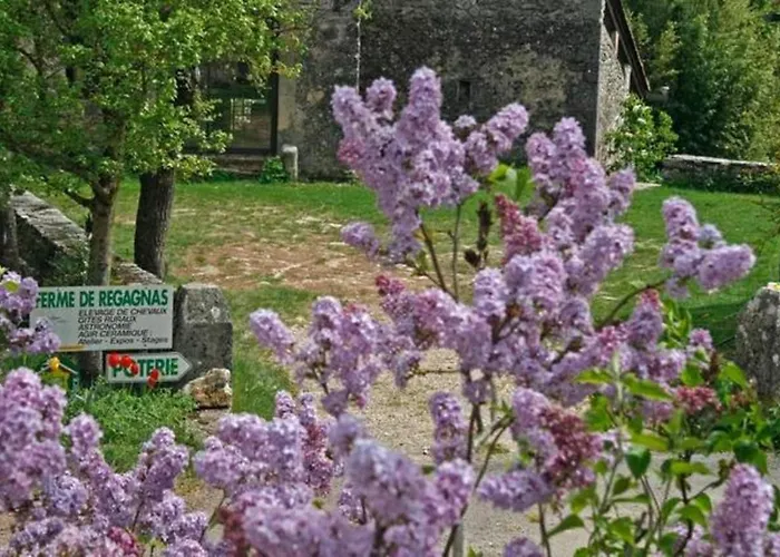 度假居 Maison Larzac Cevennes Grand *