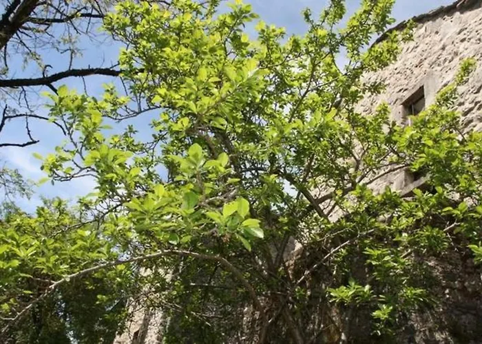 度假居 Maison Larzac Cevennes Grand *
