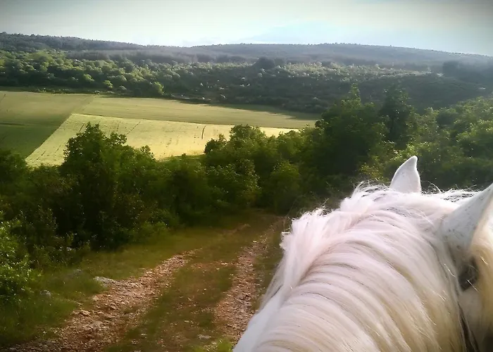 度假居 Maison Larzac Cevennes Grand Campestre-et-Luc